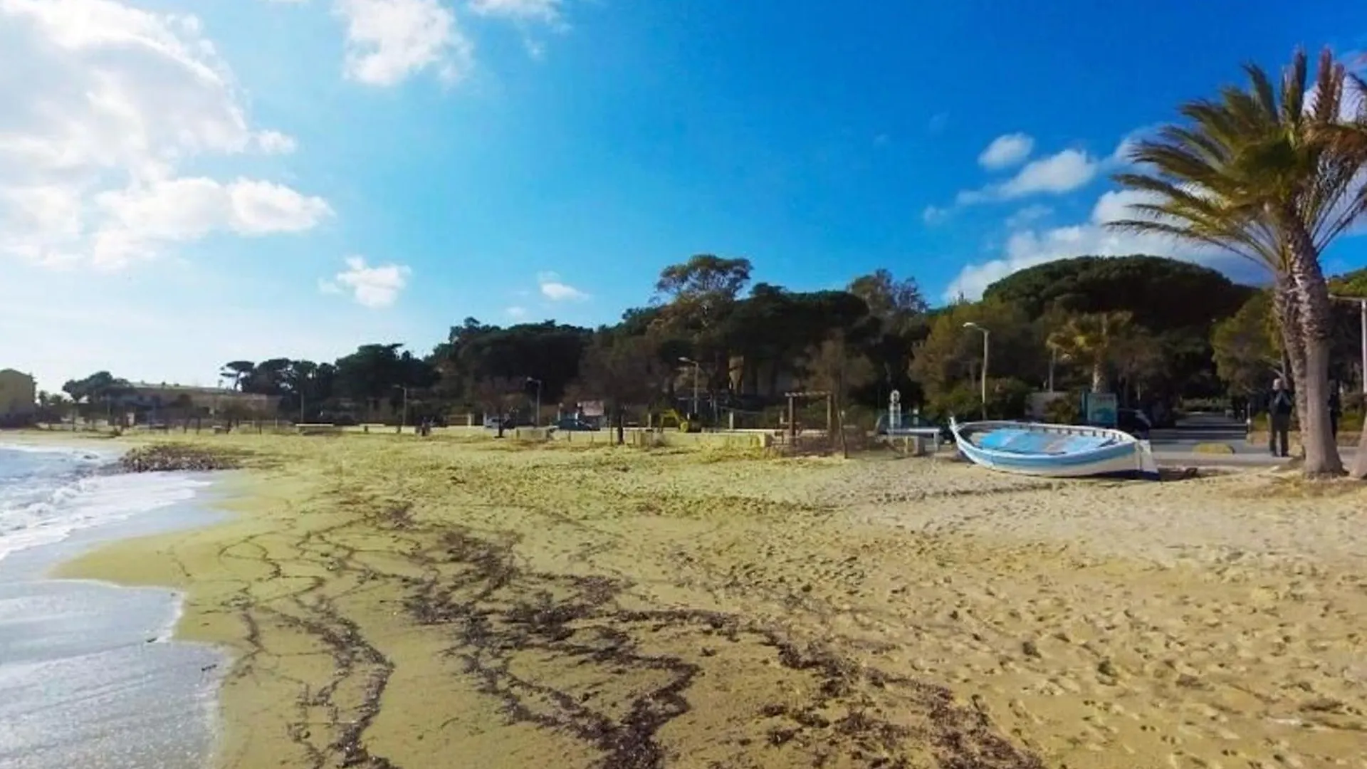 Appartement T2 Avec Terrasse Sud, Climatise, A Proximite Plage - Le Lavandou - Fr-1-251-295 צרפת