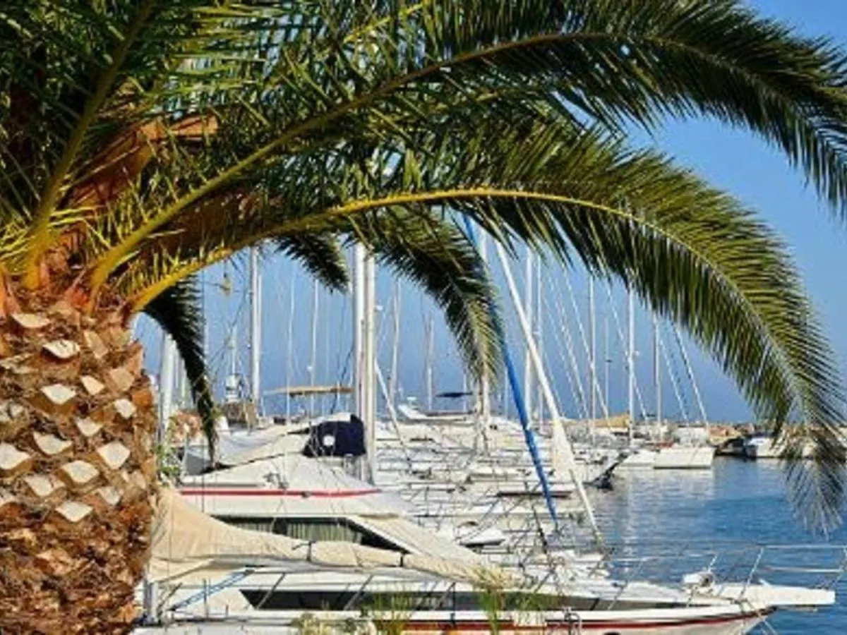 Appartement T2 Avec Terrasse Sud, Climatise, A Proximite Plage - Le Lavandou - Fr-1-251-295 Apartment